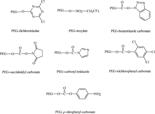 FIG. 2 First-generation irreversible PEG reactive forms (Roberts et al. Citation2002).