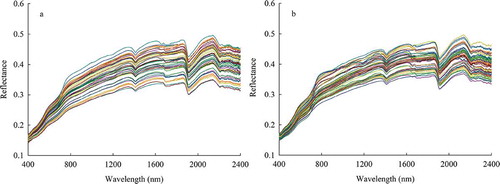 Figure 2. Difference original reflectance of soil samples in wheat (a) and corn (b) seasons.