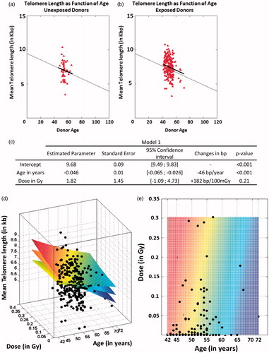 Figure 4. Mean Telomere Length in non-exposed vs. exposed Donors. Mean telomere length as a function of age in non-exposed (a) and exposed (b) donors versus the curve of Vaziri et al. (Citation1993). (c) Table showing the results of model 1. (d) Visualization of mean telomere length as a function of the dose and the age for all donors. The estimated surface of model 1 (middle) is represented with its confidence bands (lower and upper). (e) Color-coded plot of mean telomere length (red represents long telomeres and blue short telomeres) against the age of the donor and the mean dose received by the bone marrow.