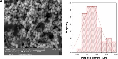 Figure 1 Scanning electron micrographs and size distribution plots of (A) copper, (B) palladium and (C) palladium@copper bimetallic nanoparticles.