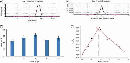Figure 1. Characterization of HF hybrid micelles. (A) Size distribution spectrum of HF hybrid micelles; (B) zeta potential spectrum of HF hybrid micelles; (C) stability of HF hybrid micelles within 30 days; (D) measurement of the CMC of HF hybrid micelles.