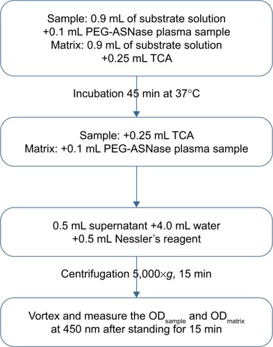 Figure 2 Determination of the PEG-ASNase activity in plasma.Abbreviations: PEG-ASNase, PEGylated asparaginase; TCA, trichloroacetic acid.