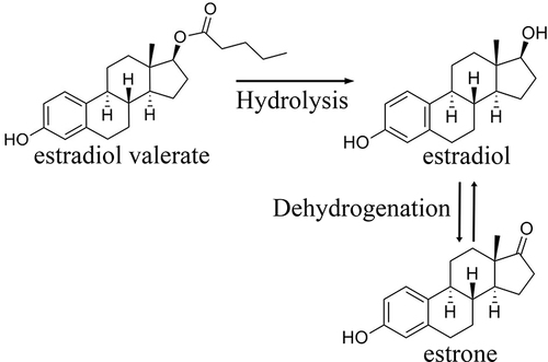 Figure 1 Estradiol valerate and its metabolites.