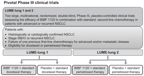 Figure 4 Phase III trials ongoing with BIBF 1120 in combination with chemotherapy: actually the LUME-Lung 1 trial stopped to recruit new patients, while the LUME-Lung 2 is continuing recruitment.