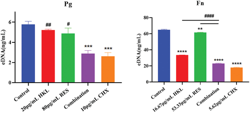 Figure 10. Effect of drugs on biofilm extracellular DNA of Pg and Fn (n=3).