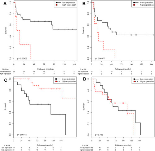 Figure 1 Kaplan-Meier analysis of FGFR3 mRNA expression regarding RFS in patients ≤71 years (A) and patients >71 years (B) as well as regarding OS in patients ≤71 years (C) and patients >71 years (D).