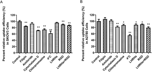 Figure 4 Uptake mechanism of LHRHa-RGD-LP-C6 after treatment with endocytosis inhibitors. (A) SKOV3 cells. (B) A2780 cells. Data represented the mean ± SD, n=3, *p< 0.05, **p< 0.01 compared to the non-treated control group.