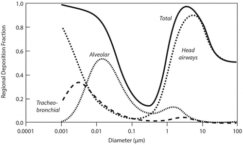 Figure 2 Particle aerodynamic diameter and deposition efficiency in human respiratory tract regions. ICRP model:(Citation7) light exercise, nose breathing. Regional deposition fraction depends on aerodynamic diameter (particles >300-500 nm) or on diffusion diameter (particles <300–500 nm).