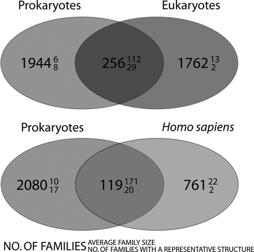 Figure 3.  Venn diagrams, showing the distribution of membrane protein families. The upper panel shows the distribution of families between prokaryotes and eukaryotes and the lower panel shows the distribution of families between prokaryotes and Homo sapiens. The large number denotes the number of families that are common to that category. The number in superscript denotes the average family size and subscript, how many families in that category contain at least one member with known structure. It is evident that few are common to both prokaryotes and eukaryotes/Homo sapiens. These families are however very large (i.e., conserved across many species).