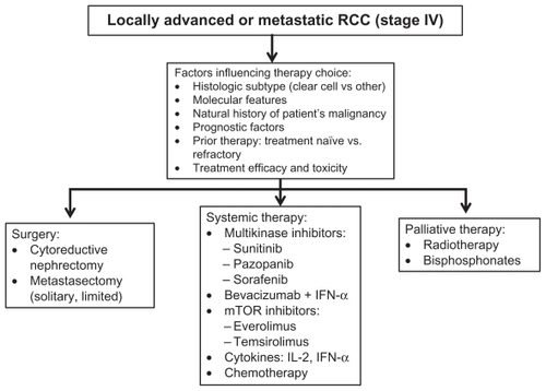 Figure 1 Flow diagram illustrating decision factors and therapeutic alternatives in patients with locally advanced and metastatic renal cell carcinoma.