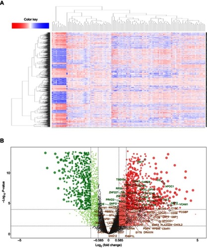 Figure 1 Differentially expressed genes between lower grade glioma samples and normal samples in GSE16011. (A) Heat maps show hierarchical clustering of differentially expressed gene expression levels. Each row represents a patient; each column represents a gene. Red dots represent up-regulated genes, and green dots represent down-regulated genes. (B) The volcano plot shows 1,346 differential genes using the limma package with |log2FC| >1 and adj-P<0.05. Red dot indicates a gene that is up-regulated in cancer compared to normal, and green dot indicates a gene that is down-regulated in cancer. The 76 genes encoded by chr1p/19q are labeled.