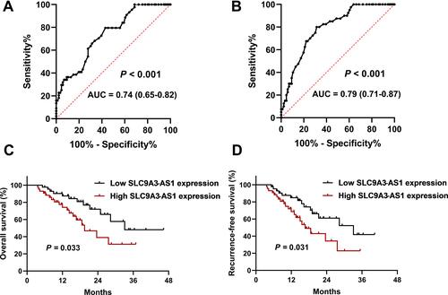 Figure 2 Diagnostic and prognostic roles of SLC9A3-AS1 in NSCLC. (A) ROC curve for serum SLC9A3-AS1 to distinguish NSCLC from LBL. (B) ROC curve for serum SLC9A3-AS1 to distinguish NSCLC from HC. (C and D) Kaplan-Meier curves for overall survival (C) and recurrence-free survival (D) in NSCLC patients stratified by SLC9A3-AS1 expression.