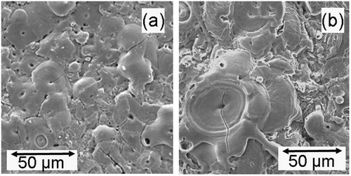 Figure 2. SEM micrographs [Citation67] of typical free surfaces of PEO coatings (on Al), for coating thicknesses of (a) 5 µm and (b) 60 µm.