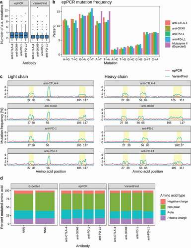 Figure 2. Mutational profiles of in vitro mutagenized antibody libraries as assessed by Pacific Biosciences sequencing. (a) Boxplots showing the number of amino acid mutations in each library relative to the parental antibody sequences. (b) Categorization of nucleotide changes in the epPCR mutagenized libraries. The expected mutational frequency (Mutazyme II) is presented for comparison. (c) Amino acid mutation frequency along light (left panel) and heavy (right panel) chain sequences. The x-axis represents amino acid position according to the IMGT annotation. The y-axis represents mutation frequency as percentage of the total number of mutations for a given library. EpPCR and VariantFind libraries are color coded as indicated in the legend. CDR regions are shaded in yellow. (d) Predicted and observed mutational distributions based on classification of amino acid side chain properties (polar, nonpolar, positively and negatively charged).