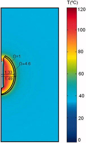 Figure 5. Temperature distributions after 12 min RF ablation and previous application of EP pulses. The black lines represent the thermal damage lesion which corresponds to Ω = 1 and Ω = 4.6. The values of the transverse lesion diameters (in cm) are shown for both contours of thermal damage.