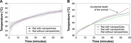 Figure 7 Temperature increase in the tumor during thermoablation.Notes: Insignificant increase of temperature was observed in the case of animals with applied nanoparticles compared with control rats without nanoparticles. Averaged data with standard deviations are shown (A). Higher increase of temperature was observed only in the case of an animal that accidentally died during the experiment; thus, its body temperature was not actively controlled by inherent thermoregulation (B).