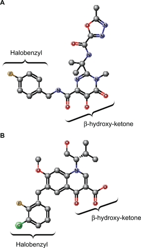 Figure 2 Structures of raltegravir and elvitegravir. A) Raltegravir. B) Elvitegravir. The β-hydroxy ketone and halobenzyl moieties are indicated. The atoms are indicated and/or represented by different colored spheres: C, gray; O, red; N, blue; Cl, green; F, brown. Hydrogen atoms are not shown. The chemical structures were created using MarvinSketch software (ChemAxon, Budapest, Hungary).