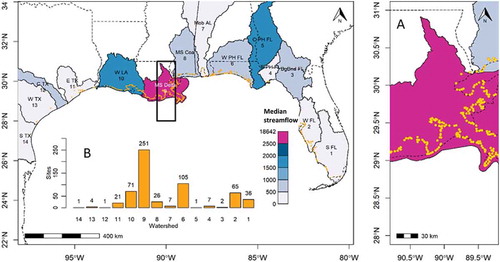Figure 1. The study area with two spatial scales: watersheds using Hydrological Unit Codes 4 (HUC4) watershed boundaries shown in blue to purple, and sites of wetland loss shown as yellow dots (see enlarged right panel – A). Darker colors of blue or purple indicate higher 10-year summer median of streamflow discharge (ft3/sec) derived from the USGS streamflow data. Subplot on the bottom (B) shows the number of sites within each watershed. Watershed numbers on the map correspond to the watershed numbers on the subplot. Official HUC4 designations are: 1) Southern Florida (S FL), 2) Peace-Tampa Bay (W FL), 3) Suwannee (Big Bend FL), 4) Ochlockonee (E PH FL), 5) Apalachicola (C PH FL), 6) Choctawhatchee-Escambia (W PH FL), 7) Mobile-Tombigbee(Mob AL), 8) Pascagoula (MS Coast), 9) Mississippi Delta (MS Delta), 10) Louisiana Coastal (W LA), 11) Galveston Bay-San Jacinto (E TX), 12) Lower Colorado-San Bernard Coastal (C TX), 13) Central Texas Coastal (W TX), and 14) Nueces-Southwestern Texas Coastal (S TX) from east to west