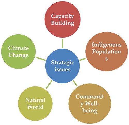 Figure 4. Key strategic issues for the strategic environmental and social assessment of the Guyana-Brazil project.
