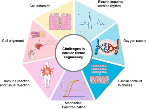 Figure 2 Graphical representation of challenges in cardiac tissue engineering.