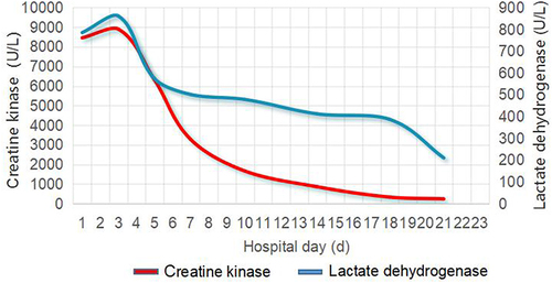 Figure 6 Change in creatine kinase and lactate dehydrogenase during hospitalisation.