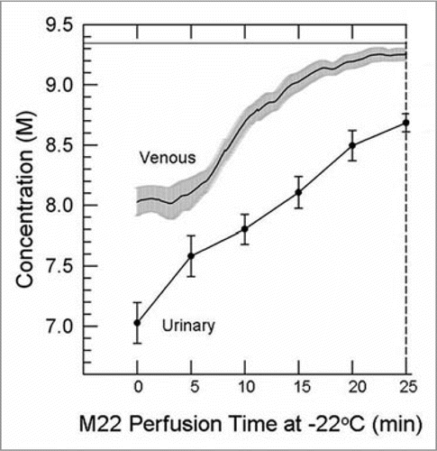 Figure 5 Difference between the venous concentration and the urinary space concentration during M22 perfusion at −22°C and 40 mmHg (n = 4 perfusions). Urine concentrations (discreet data points ±1 SeM) determined manually; venous concentrations (line with gray “halo” consisting of ±1 SeM) determined by computer. the time base gives time from the nominal onset of M22 perfusion, with includes a lag time as M22 makes its way through the perfusion circuit. the horizontal line near the top of the graph shows the concentration of M22, which is not fully reached even by the venous effluent by the end of M22 delivery.