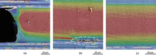 Figure 10. Detailed views of the strain distribution shown in Figure 9: (a) End of the artificial crack. (b) Delamination, marked with an ellipse. (c) Progression of the strain magnitude over the adhesive layer thickness.