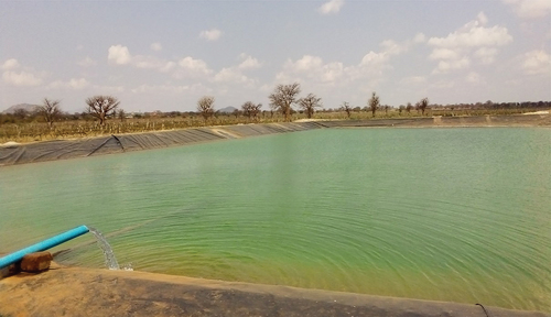 Plate 3. Dam used for irrigation of grapevine adopted by CHABUMA AMCOS.