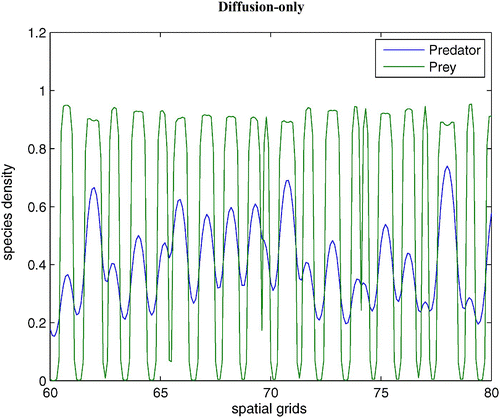 Figure 6. With the same parameters as in Figure 5, we demonstrate a snapshot of the spatial prey and predator distributions after 60 time units between dimensionless spatial locations 10 and 15. Available in colour online.