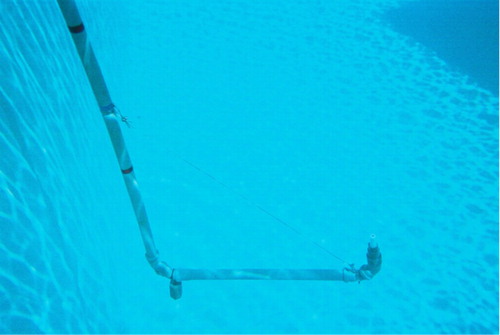 Fig. 3 Underwater environment in a 5-m deep pool from the municipal swimming complex of Évora.