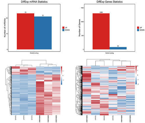 Figure 3. Target genes and heat map of differentially expressed miRnas. Bioinformatics analysis showed that 44 miRnas and 1384 corresponding target mRnas were expressed differentially in gastric cancer cells under the treatment of salidroside.