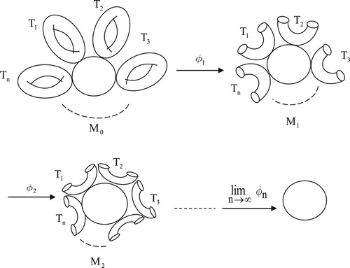 Figure 2. Limit folding on n-tori touch the circle.