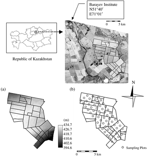 Figure 1  Study area location, elevation (a) and sampling plots (b).