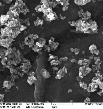 Figure 4 Hydroxyapatite nanoparticles.