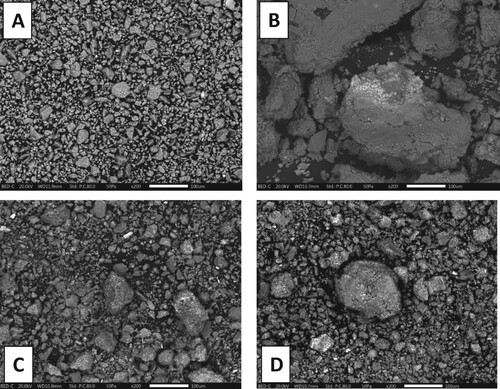 Figure 2. SEM images of pure bentonite (A), 1%Co–Ni (B), 3%Co–Ni (C), 5%Co–Ni(D).