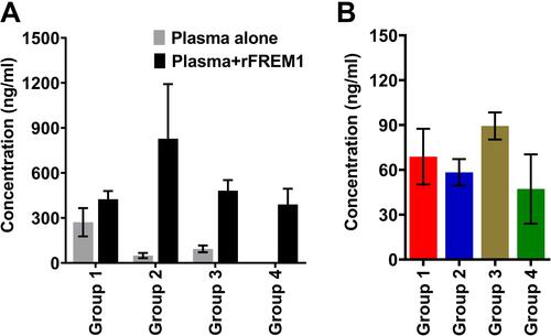 Figure 5 TILRR protein quantified in plasma samples after spiked with rFREM1 spD and affinity purification using the multiplex bead array method. (A) TILRR protein of plasma samples (n=3 from each of plasma groups 1–4 in Table 2) spiked with rFREM1 spD protein (conc. 106.58 ng/mL). (B) Quantification of affinity-purified TILRR protein (after removal of plasma IgG) obtained from plasma samples of different groups (groups 1–4 in Table 2) (n=3 for each group). The input volume of affinity-purified protein was adjusted based on the amount of plasma samples used for the multiplex bead array method. The sample dilution buffer was used as a negative control. As the control buffer did not show any data value (below the lower limit of detection), the negative control condition is not shown in the figures. The data presented as mean±SEM of three independent samples. Legends on the top of figure A represent the experimental conditions. The X-axis of both figures A and B indicated the defined groups and the Y-axis represented protein concentration (ng/mL).