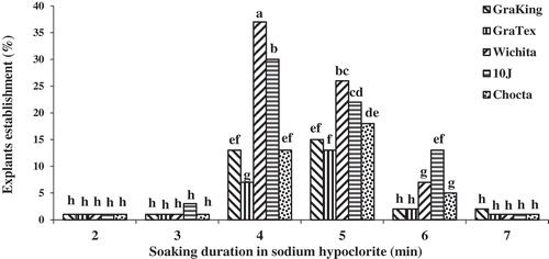 Figure 7. Effect of soaking duration in 2.5% sodium hypochlorite for disinfestation of various pecan cultivar explants. Means of the columns followed by the same letter are not significantly different according to Duncan’s multiple range test (P ≤ .05)