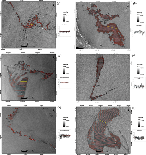 Figure 1. Zonal sections designed over the SAR images for each oil spill study case: (A) al khiran – Sentinel-1, (B) al Khajfi – Sentinel-1, (C) Mexican Gulf – Envisat, (D) Mexican Gulf – Sentinel-1, (E) Corsica Island – Sentinel-1, (F) Iran – Sentinel-1.