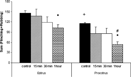Figure 2.  Sum of flinching and facial rubbing behaviors recorded in rats given TMJ injection of formalin (50 μl, 1.5%) previously submitted to 15, 30 min or 1 h of restraint (n = 6/group) or left undisturbed in their home cage (n = 6/group) during the estrus and proestrus phases. Each column represents the mean. Error bars indicate the SEM. +p < 0.05, estrus vs. proestrus control rats; *p < 0.05, controls vs. 1 h stressed groups; #p < 0.05, estrus vs. proestrus in 1 h stressed group (two-way ANOVA).