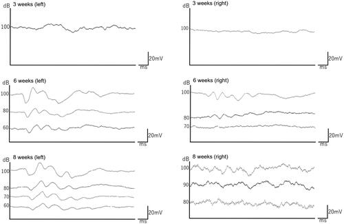 Figure 4. Animals with improvement on both sides.