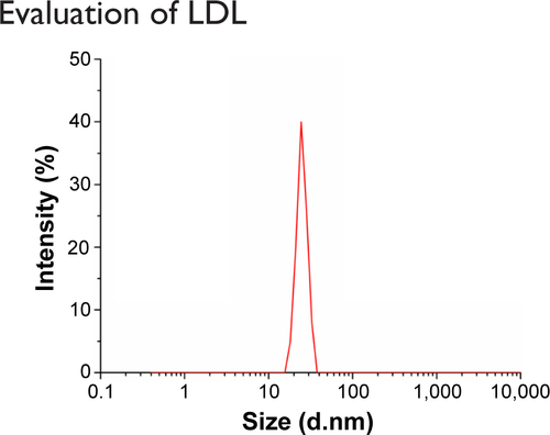 Figure S1 The size distribution of LDL.Notes: The size distribution of LDL was measured by dynamic light scattering. The mean particle size and polydispersity index of LDL were 24.36±0.62 nm and 0.173, respectively.Abbreviation: LDL, low-density lipoprotein.
