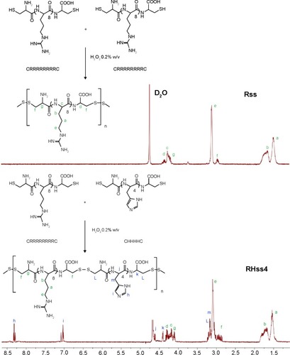 Figure 2 Synthesis of the disulfide cross-linked polypeptide and the 1H-NMR spectra of Rss and RHss4 polypeptides.Notes: R: arginine, H: histidine, C: cysteine.Abbreviations: 1H-NMR, proton nuclear magnetic resonance; RHss, reducible chimeric polypeptide containing two functional peptides: octa-d-arginine and tetra-l-histidine peptides; Rss, single cross-linked R8 peptide.