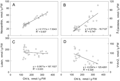 FIGURE 5. Relationships between chlorophyll b level and the levels of (A) neoxanthin, (B) β-carotene, (C) lutein, and (D) the total pool of xanthophyll cycle carotenoids in needles of Korean fir trees growing at three altitudes and collected in three seasons (July, February, and April). See Materials and Methods for additional information.