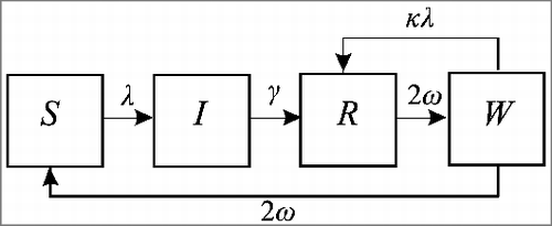 Figure 3. The boosting SIRWS model. Naïve susceptibles (S) acquire infection and move to the I state at a rate λ, with the population in I losing infectiousness at a rate γ and moving to the R compartment. Immunity is lost at a rate 2 ω, after which individuals can have their immunity boosted at a rate, κλ, proportional to the force of infection, without experiencing a transmissible infection (W). If not exposed, individuals in W return to the naïve susceptible state at a rate 2 ω.