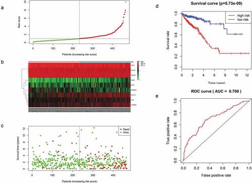 Figure 5. (a) Distribution of mRNA-related RSs in patients. (b) The expression heatmap of nine prognostic mRNAs. (c) The mortality of patients with an increase in the RS. (d) K-M survival curve analysis for the OS of CRC patients using the nine-mRNA signature. (e) ROC curve analysis of the nine-mRNA signature.