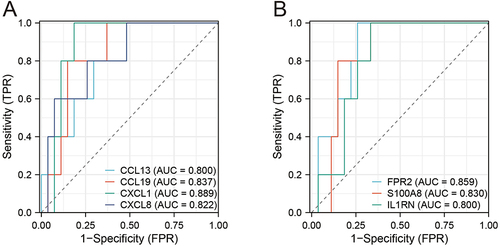 Figure 6 Receiver operating characteristic curve for seven IRGs. (A) ROC curve for four genes (CCL13, CCL19, CXCL1, CXCL8). (B) (A) ROC curve for three genes (FPR2, S100A8, IL1RN).