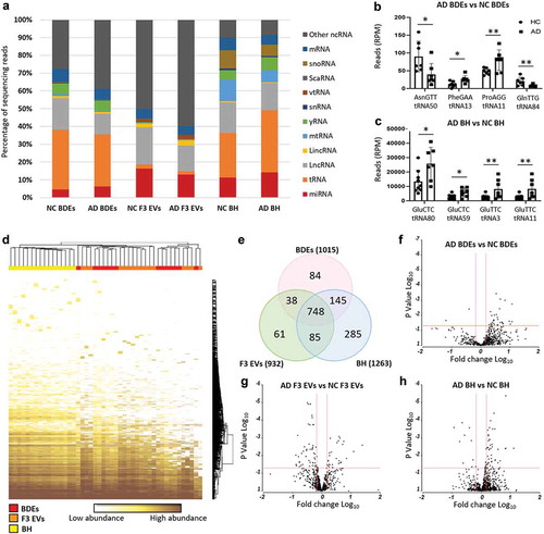 Figure 2. Distinct small RNA and miRNA composition in BH, BDEs and F3 EVs.