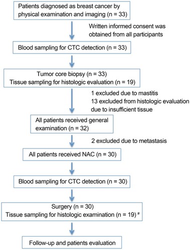 Figure 1 Design of the study and time points of blood sampling and tissue sampling. #Surgery tissue samples were collected from patients and matched to healthy donors from whom biopsy tissue samples were sufficient for histologic evaluation.Abbreviations: n, number; NAC, neoadjuvant chemotherapy; CTC, circulating tumor cell.