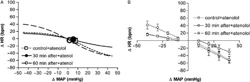 Figure 8  (A) Sigmoid baroreflex curves (n = 5) correlating changes in MAP (ΔMAP) and HR (ΔHR) in rats treated intravenously with the selective β1-adrenoceptor antagonist atenolol before (control + atenolol, ▪; r2 = 0.71) or 30 (30 min after + atenolol, •; r2 = 0.79) and 60 min after (60 min after + atenolol, ○; r2 = 0.82) ending the acute restraint stress. Symbols indicate the curve BP50. (B) Linear regression curves (n = 5) correlating ΔMAP and ΔHR in atenolol-treated rats of control + atenolol (dotted lines), 30 min after + atenolol (solid lines) and 60 min after + atenolol (dashed lines) groups. Correlation r2 values for bradycardiac regression curves were 0.69 for control + atenolol and 0.88 or 0.75, respectively, 30 and 60 min after ending restraint. Correlation r2 values for tachycardiac regression curves were, 0.72 for control + atenolol and 0.79 or 0.86 at 30 or 60 min after ending restraint. One-way ANOVA followed by Bonferroni's post-test was used to compare differences in cardiac baroreflex responses (See Results): restraint-evoked baroreflex changes in atenolol-treated rats were still observed at 30 min of the recovery period (P < 0.05), and had returned to control values at 60 min of the recovery period (P>0.05).