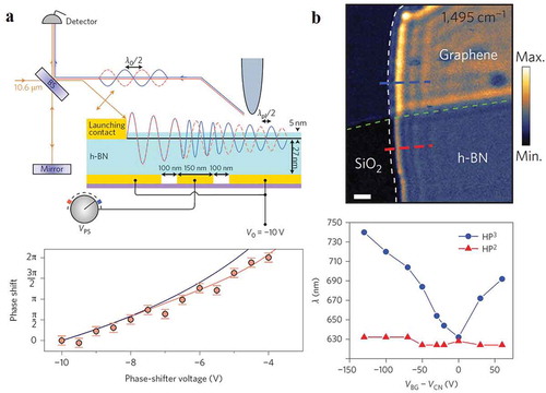 Figure 12. The applications of graphene plasmons. (a) Phase control of infrared light by gate-tunable graphene plasmons [Citation103]. Upper panel: schematic of experimental configuration. Bottom panel: theoretical (solid lines) and experimental (dispersed circles) phase shift, which can be changed from 0 to 2π. (b) Hybridized polaritons in graphene/hBN heterostructures [Citation104]. Upper panel: with monolayer graphene, both amplitude and wavelength of phonon polaritons in pristine hBN increase. Bottom panel: the gate-tunable hyperbolic phonon–plasmon polaritons (HP3) in graphene/hBN and un-tunable hyperbolic phonon polaritons (HP2) in hBN. The incident frequency is 1495 cm−1. Scale bar, 300 nm. (a) Reproduced with permission [Citation103]. Copyright 2017, Nature Publishing Group. (b) Reproduced with permission [Citation104]. Copyright 2015, Nature Publishing Group.